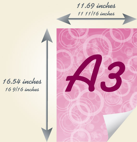 Size Of Chart Paper In Inches