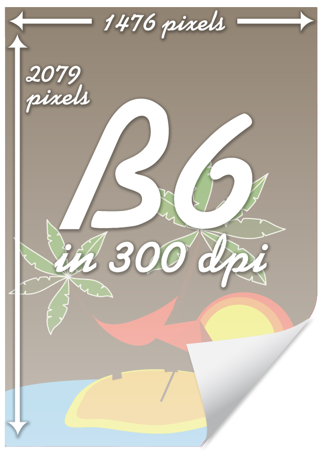 B6 size in 300 dpi : 1476 x 2079 pixels